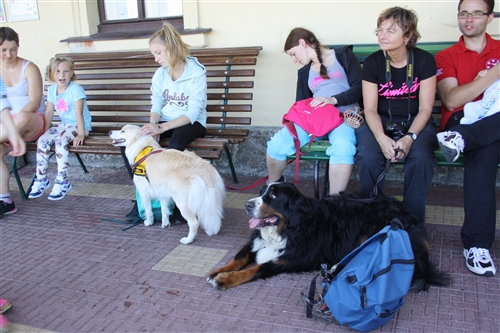 Obrázek v galerii